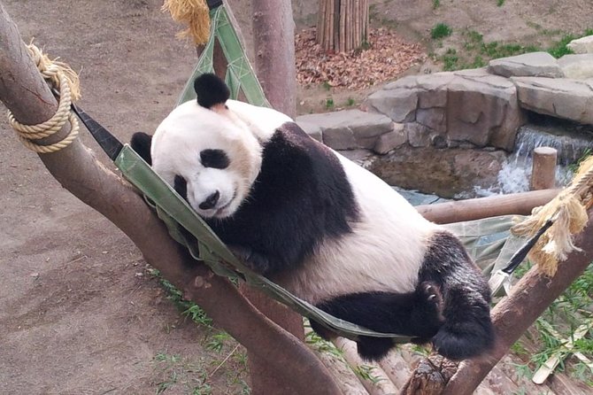 EVERLAND From Hotel to Hotel [Premium Private Tour: Only One Group for You] - Notable Rides and Areas