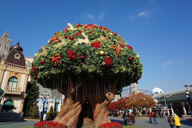 EVERLAND From Hotel to Hotel [Premium Private Tour: Only One Group for You] - Reviews and Feedback