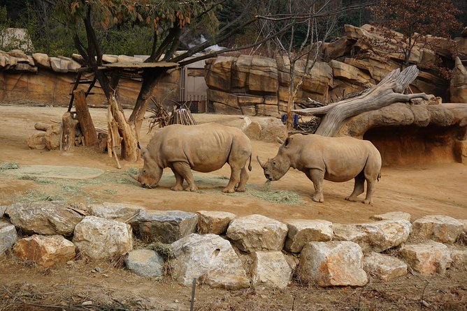 EVERLAND From Hotel to Hotel [Premium Private Tour: Only One Group for You] - Personalized Experience