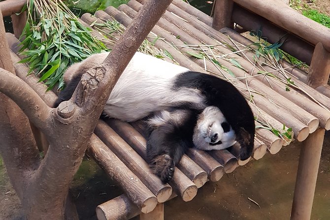 Everland or Lotte World Theme Park Day Trip From Seoul - Making the Most of Your Visit
