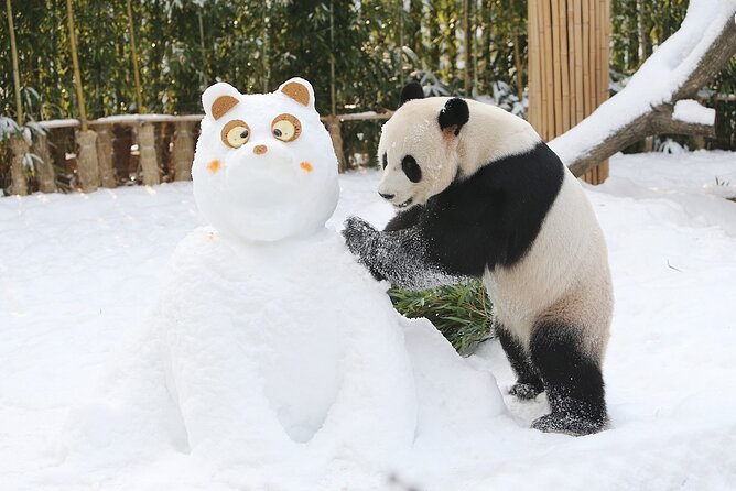 Everland Theme Park Admission Ticket With Transfer From Seoul - Transportation From Central Seoul