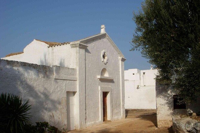 EVO Oil Tasting in Masseria in Ostuni - Quick Points