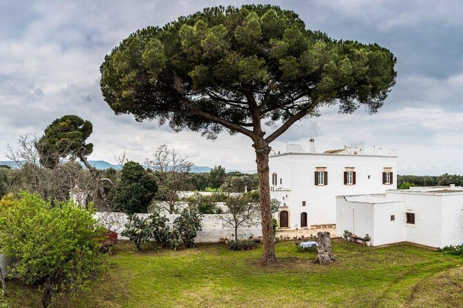 EVO Oil Tasting in Masseria in Ostuni - Insights Into Ancient Techniques