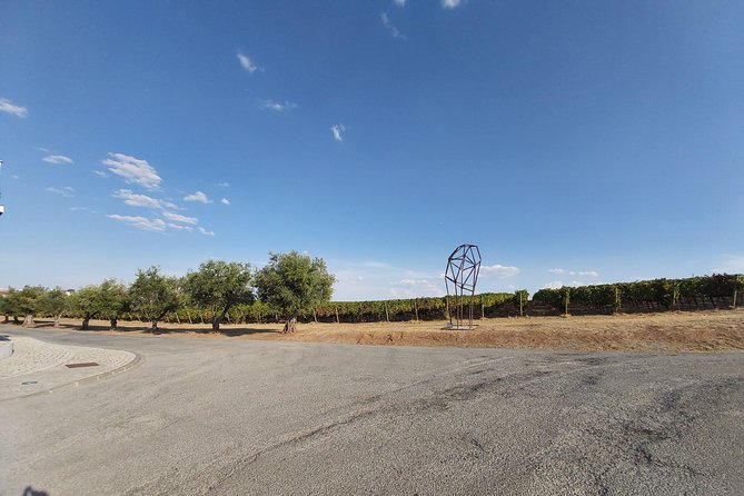 Evora & Alentejo Wine Region Private Luxury Tour - Pickup and Start Time