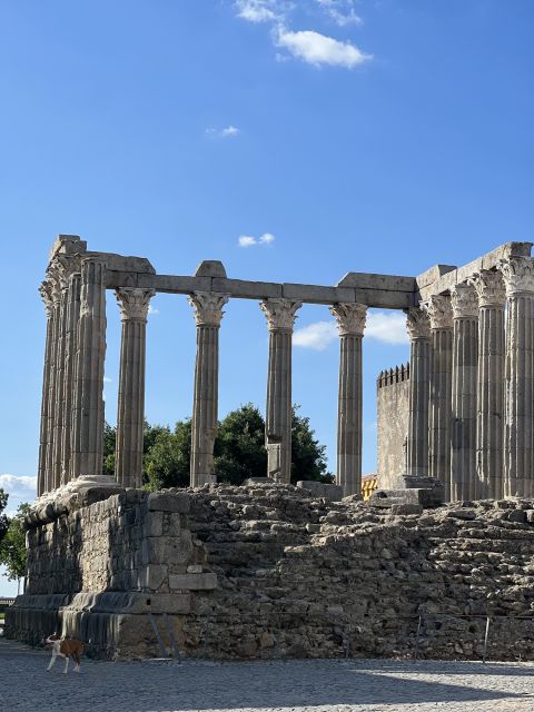 Évora: Ancient Roman Temple & King's Christ Tour - Itinerary Highlights