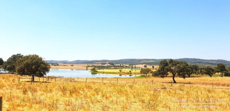 Évora: Full Day Visit - Itinerary Highlights