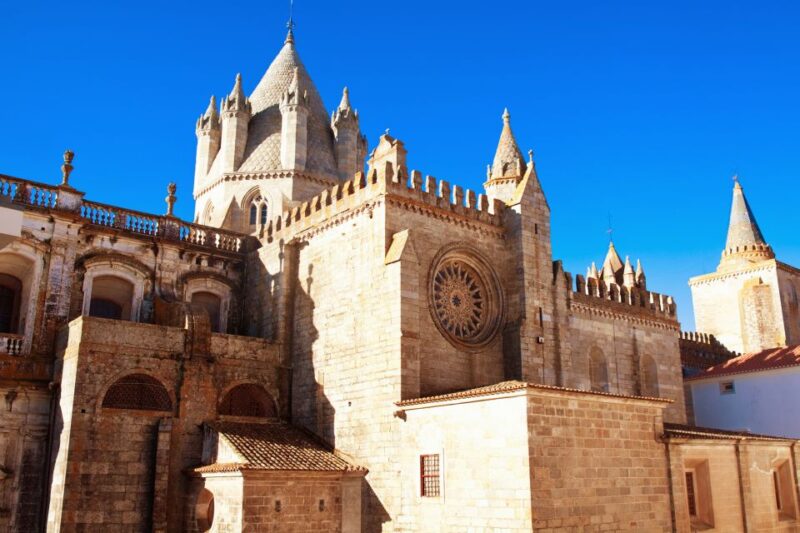 Évora: Full-Day Wine Tour - Languages and Accessibility