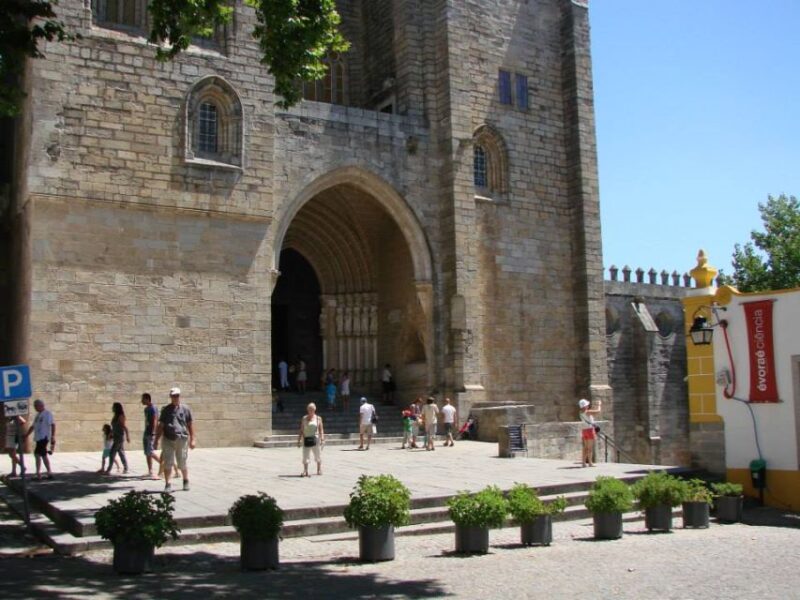 Évora: Full-Day Wine Tour - Cultural Experience