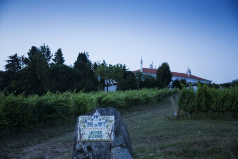 Évora: Full-Day Wine Tour - Important Information