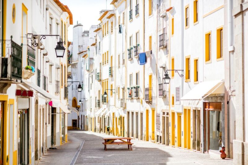Évora: Full-Day Wine Tour - Tour Cancellations and Restrictions