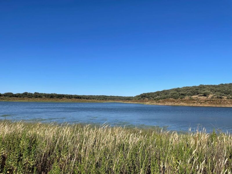 Évora: Half-Day in a Dam With a Picnic and Stand-Up Paddle - Picnic by the Water
