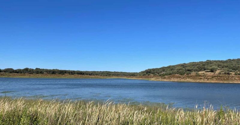 Évora: Half-Day in a Dam With a Picnic and Stand-Up Paddle - Arrival at Barragem Dos Minutos