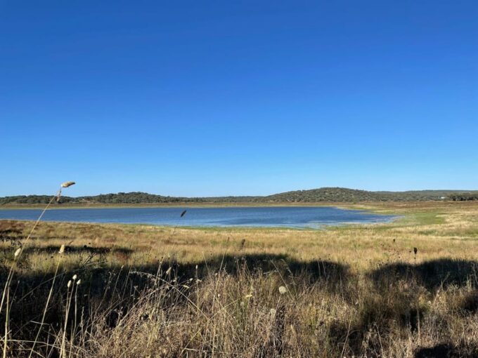 Évora: Half-Day in a Dam With a Picnic and Stand-Up Paddle - Inclusions Provided