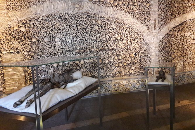 ÉVORA Megalithic Almendres Cromlech - Historical Significance