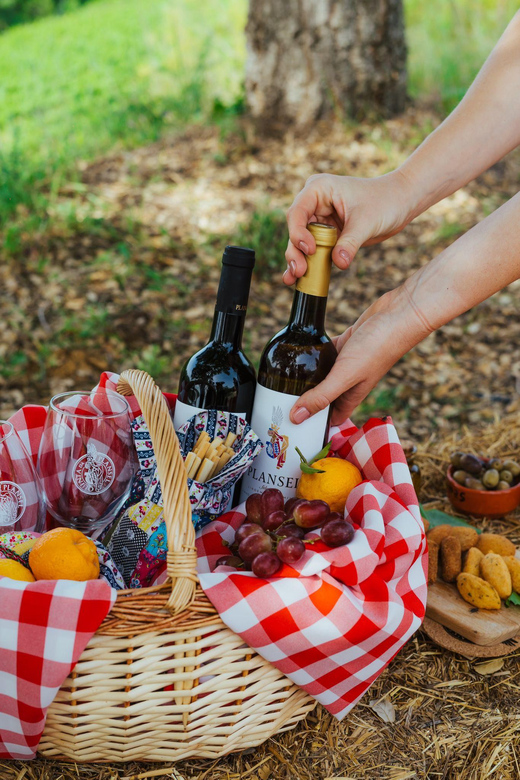 Évora or Montemor: Picnic at Plansel Winery - Key Points