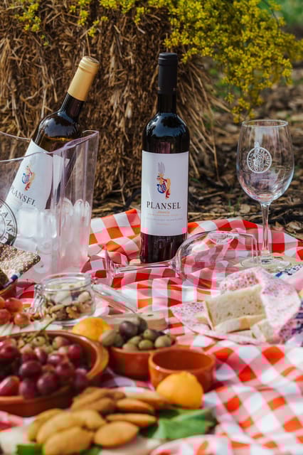 Évora or Montemor: Picnic at Plansel Winery - Picnic Setup and Environment