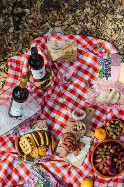 Évora or Montemor: Picnic at Plansel Winery - Unique Features