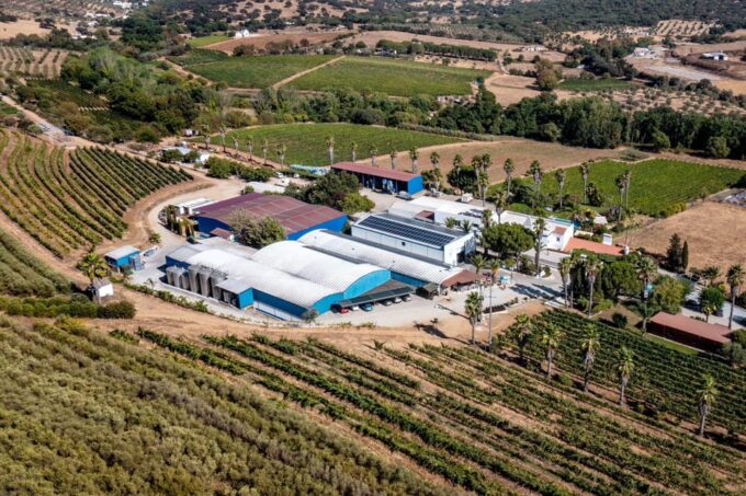 Évora or Montemor: Picnic at Plansel Winery - Exploring the Alentejo Region