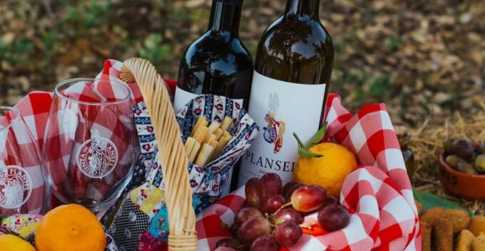 Évora or Montemor: Picnic at Plansel Winery - Recap