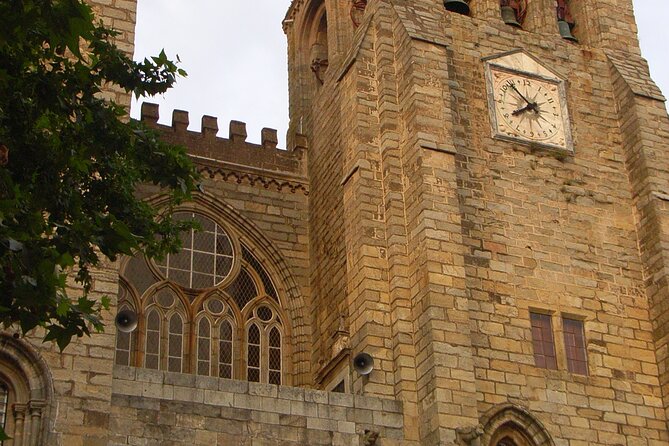 Évora Private Walking Tour With a Professional Guide - Meeting and Pickup Information