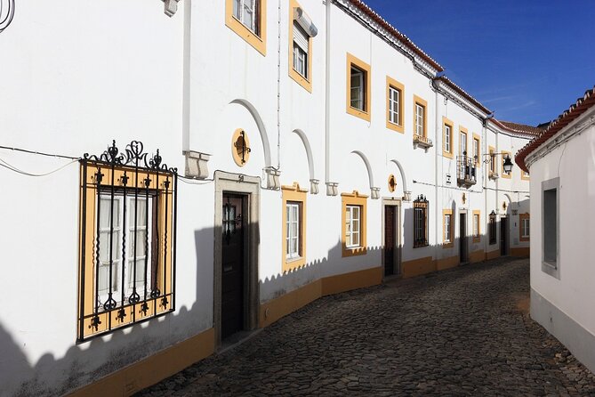Évora Private Walking Tour With a Professional Guide - Tour Features