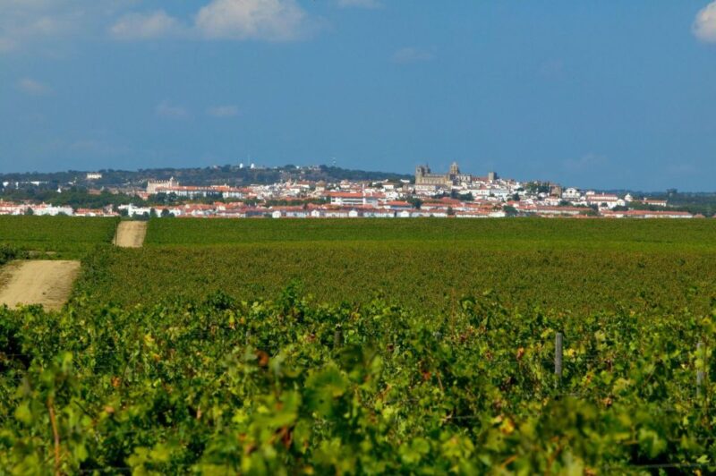 Évora Tour: Private and Customized Tour Full and Half Day - Booking and Cancellation