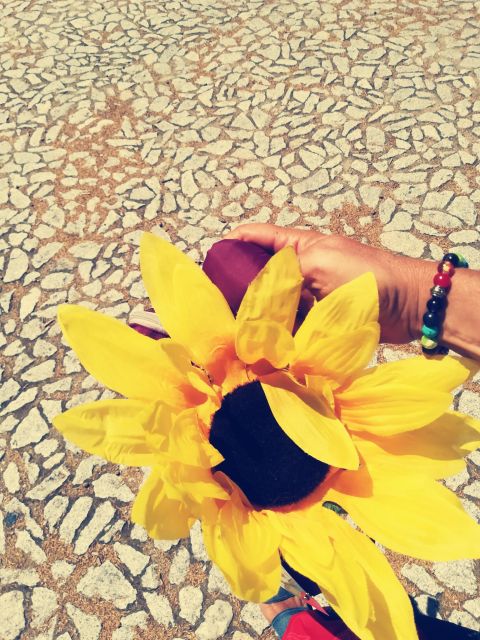 Évora With Love Walking Tour - Experience and Insights