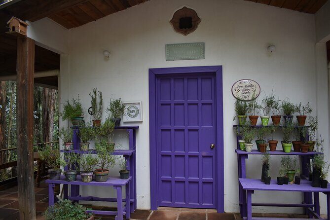 Ex hacienda, rancho de lavanda y Val'Quirico (private tour) - Starting Your Day: Hassle-Free Pickup and Transportation