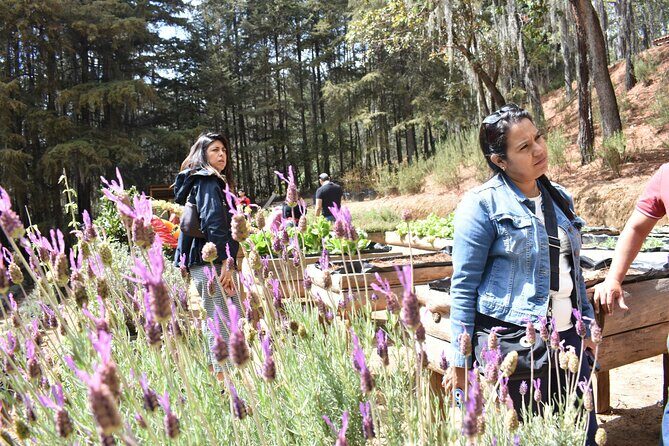 Ex hacienda, rancho de lavanda y Val'Quirico (private tour) - Final Thoughts on the Experience