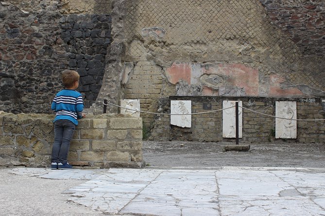 Excavations of Herculaneum. Tour Guide and Skip-The-Line Ticket - Tour Conditions and Restrictions