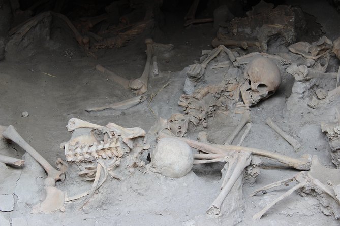 Excavations of Herculaneum. Tour Guide and Skip-The-Line Ticket - Licensed Guide Services