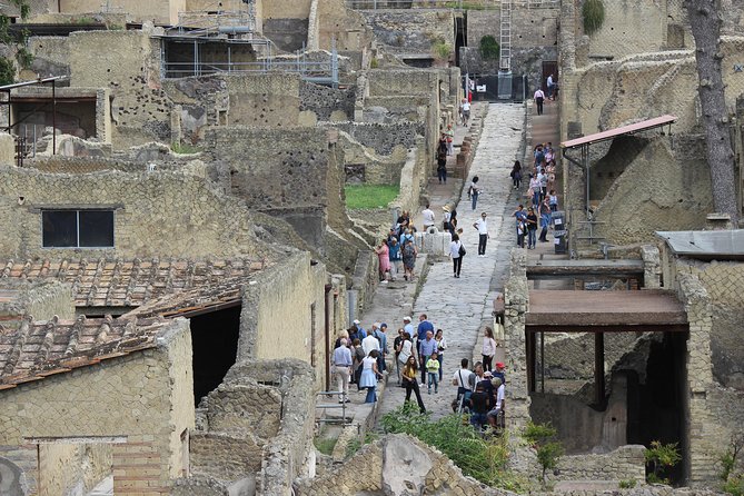 Excavations of Herculaneum. Tour Guide and Skip-The-Line Ticket - Booking and Confirmation