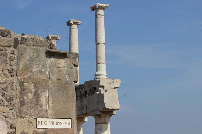 Excavations of Pompeii. Tourist Guide and Skip-The-Line Ticket - Meeting and Accessibility Details