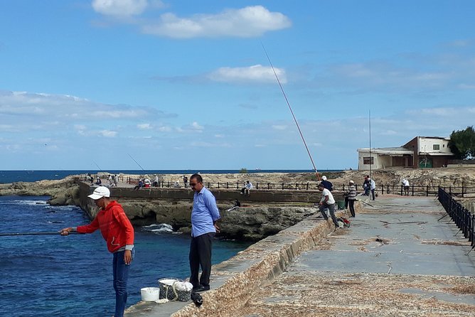 Exceptional Alexandria Tour From Cairo + Alexandria Food Tour - Tour Inclusions
