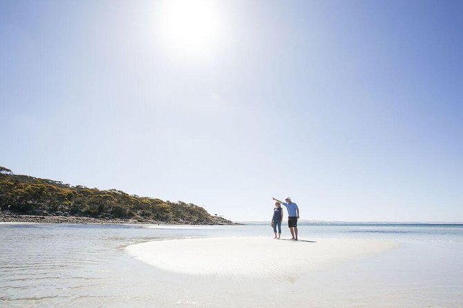Exceptional Port Lincoln, Seafood and Wildlife Tour - Local Fishing Industry