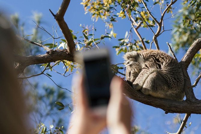 Exceptional Port Lincoln, Seafood and Wildlife Tour - Fresh Seafood Lunch