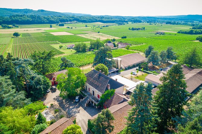 Exceptional Visit and Tasting of 7 Wines - Accessibility and Participation