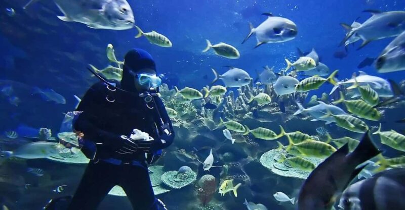 Exciteful Scuba Diving Experience in Antalya - Booking and Flexibility
