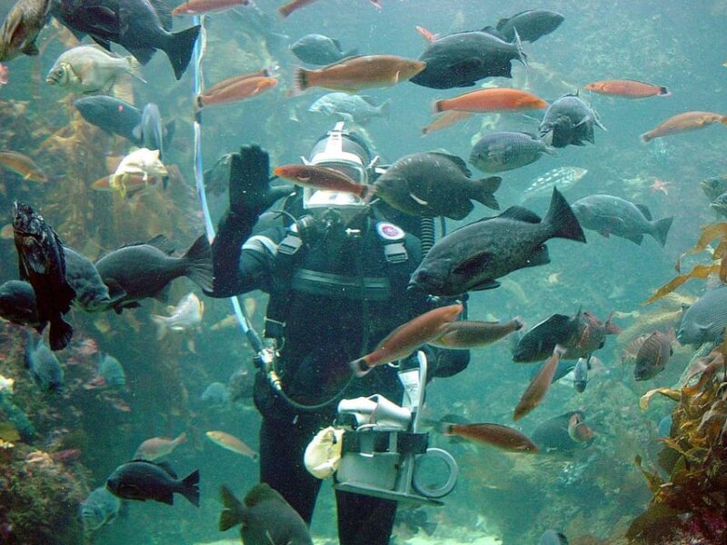 Exciteful Scuba Diving Experience in Antalya - Customer Ratings
