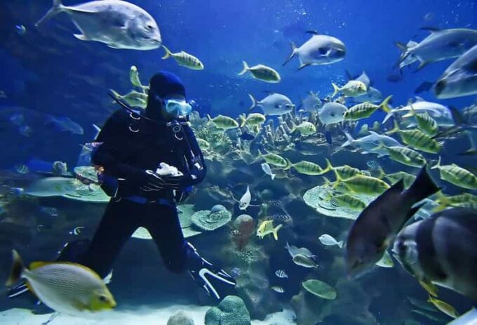 Exciteful Scuba Diving Experience in Antalya - Frequently Asked Questions
