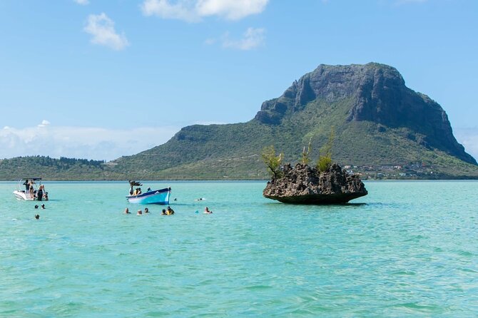 Exciting Dolphin Encounters in the Maurtiuss Lagoon - Location and Meeting Details