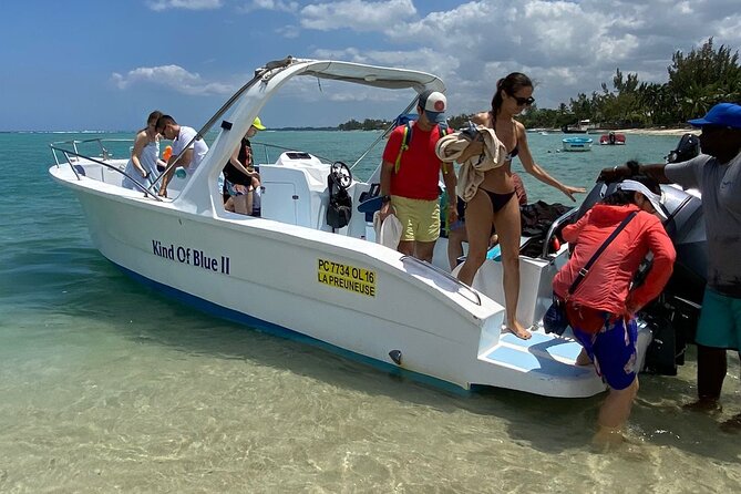 Exciting Dolphin Encounters in the Maurtiuss Lagoon - Participant Requirements and Safety