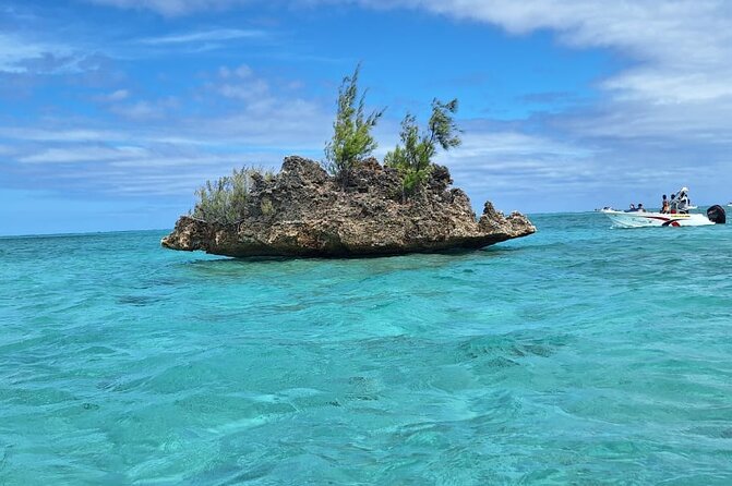 Exciting Dolphin Encounters in the Maurtiuss Lagoon - Pricing and Cancellation Policy