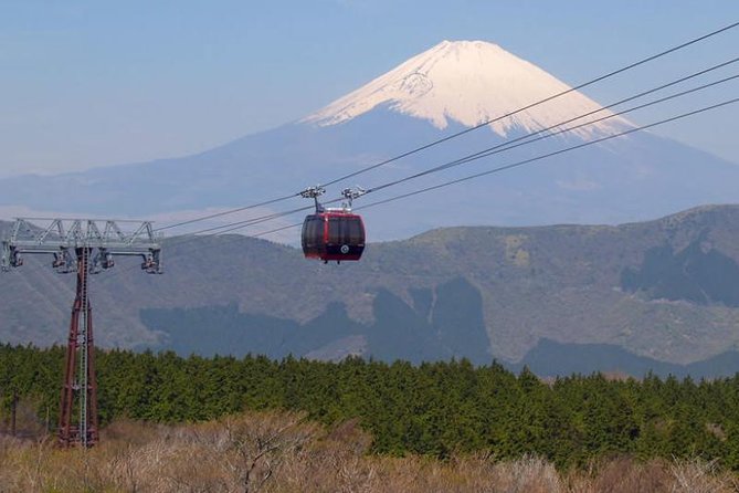 Exciting Hakone - One Day Tour From Tokyo - Convenient Tour Transportation Options