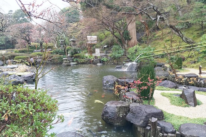 Exciting Kamakura - One Day Tour From Tokyo - Seeing the Great Buddha