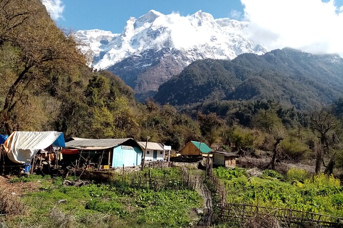 Exciting Kaupche Glacier Lake Very Short Trek From Pokhara Nepal - Itinerary and Daily Activities