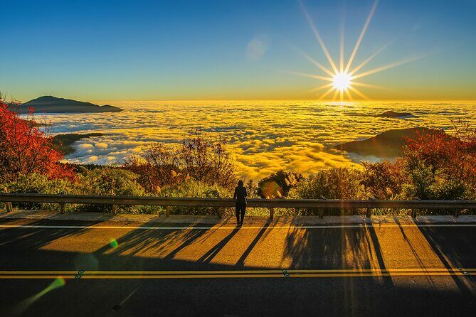 Exclusive 3-Day Sun Moon Lake & Alishan Private Tour - An Honest Look at the 3-Day Sun Moon Lake & Alishan Private Tour