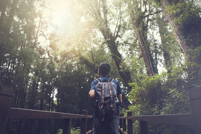 Exclusive 3-Day Sun Moon Lake & Alishan Private Tour - A Detailed Look at the Tour Experience