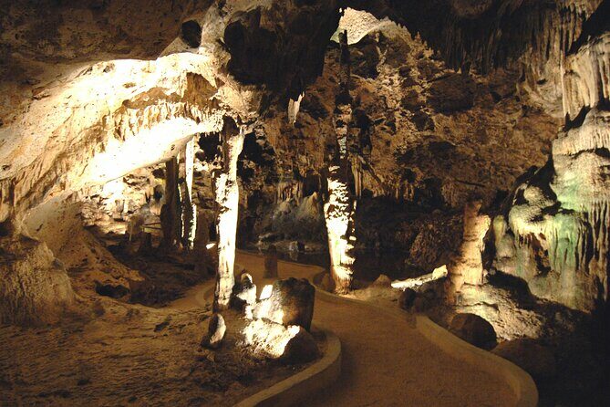 Exclusive 4 -Hour Private nature Tour: West Curacao's Best - What Makes This Tour Stand Out?