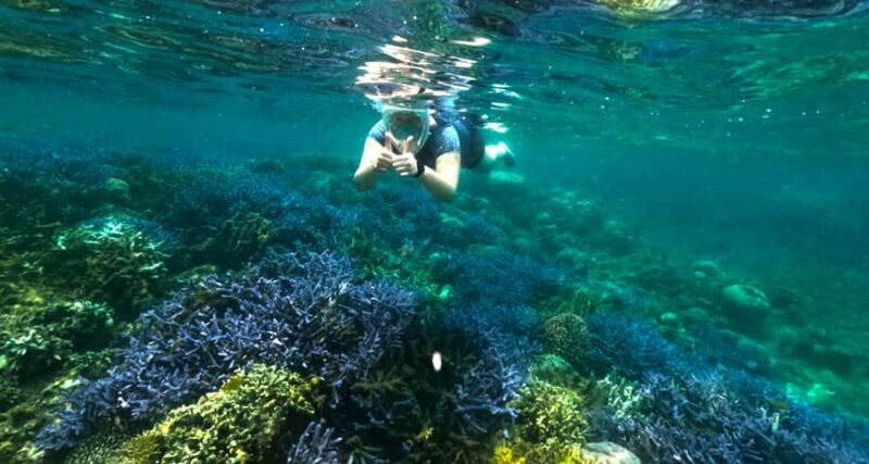 Exclusive 5 Secret Gilis: Snorkeling & Island Hopping - Key Points
